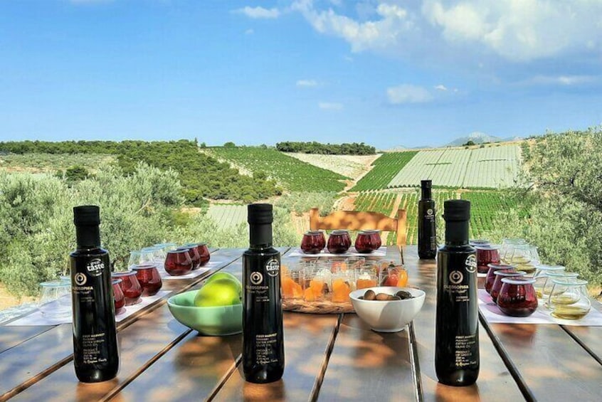 Olive oil tasting in the grove with a view
