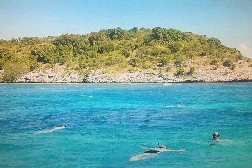 Cades Reef Snorkel Cruise from St. John's Antigua