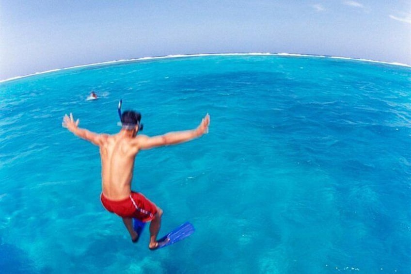 Snorkel at Cades Reef