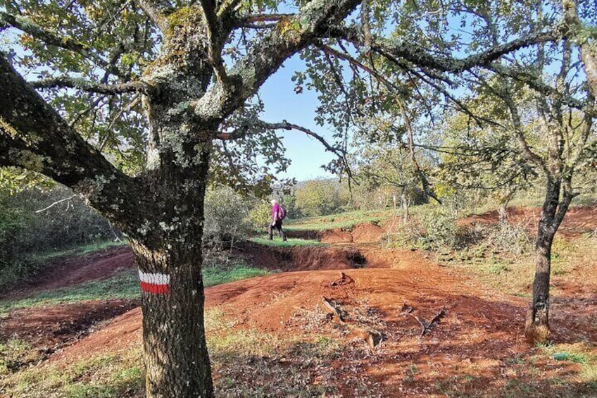 Walking the Trail, "Madras Circus"