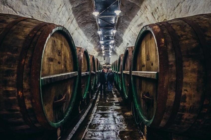 Private Tour to Pilsner Urquell from Prague