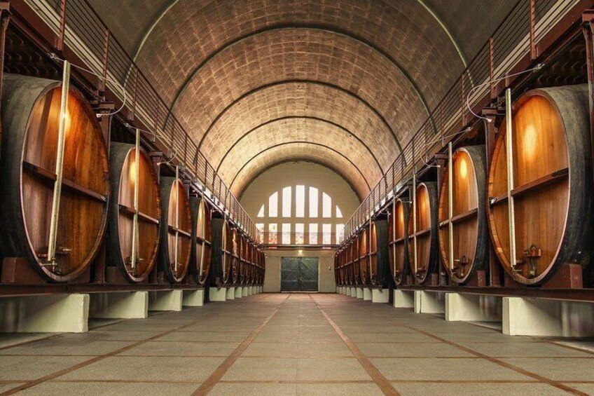 Cathedral Wine Cellar