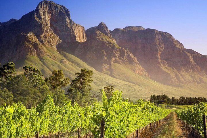 Private Cape Winelands Guided Full Day Tour From Cape Town