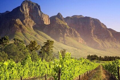 Private Cape Winelands Guided Full Day Tour from Cape Town