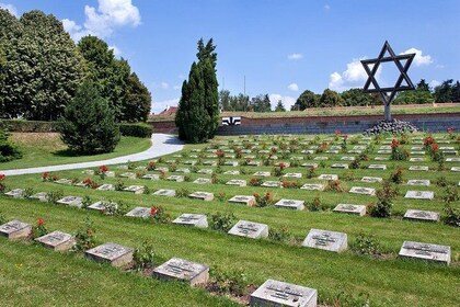 From Prague: Terezin with Admissions