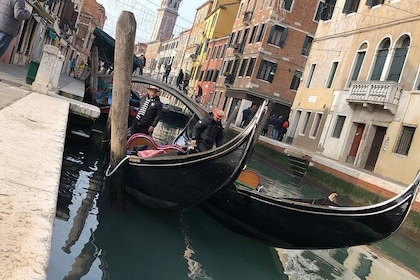 Exclusive Venice & Murano (4hrs) private walking tour. We do not combine gr...