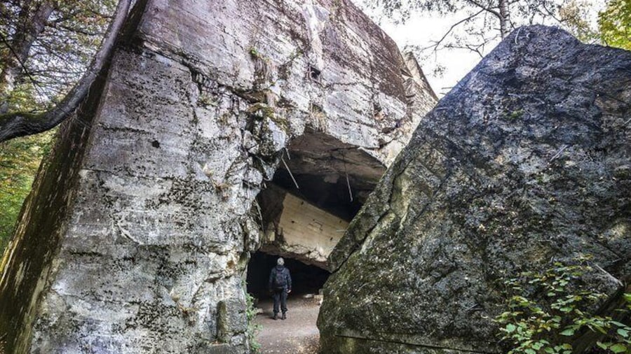 Wolf's Lair