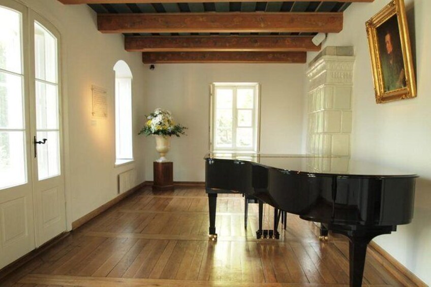 Frederic Chopin and Masovian Country Small Group Tour from Lodz with Lunch