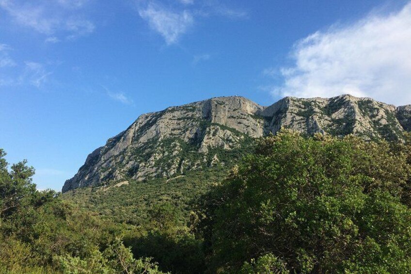 Hike to the top of "Pic Saint Loup", food and wine tasting
