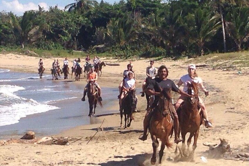 Beach Horseback Riding in Puerto Plata