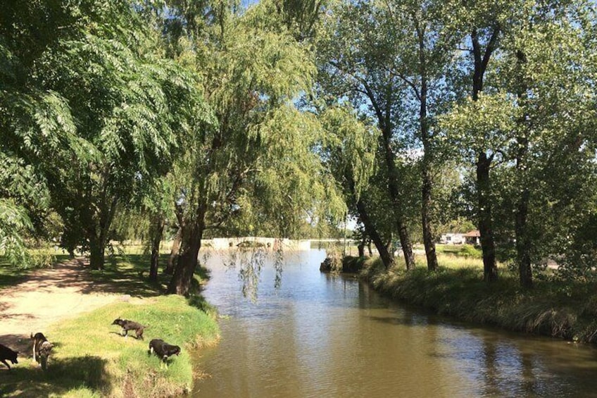 River Areco