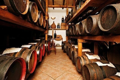 Cavedoni Balsamic Vinegar Tour: Den äldsta i Modena