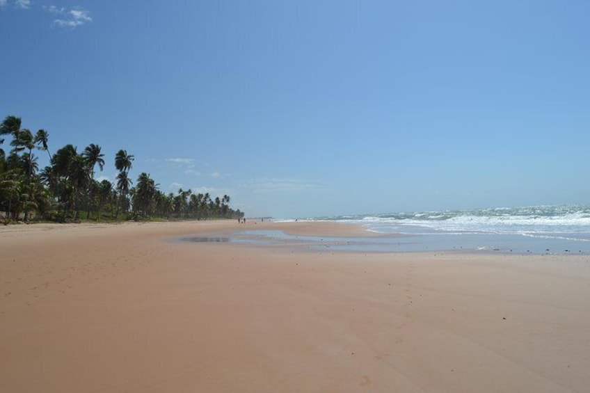 Jaua beach just for you