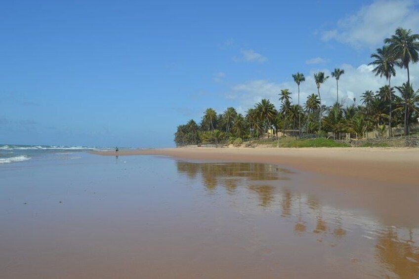 Jauá beach hike 