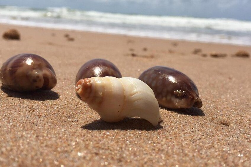 Jauá beach hike 