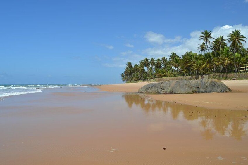 From Salvador to Praia do Forte