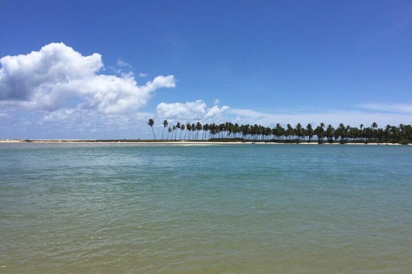 From Salvador to Praia do Forte