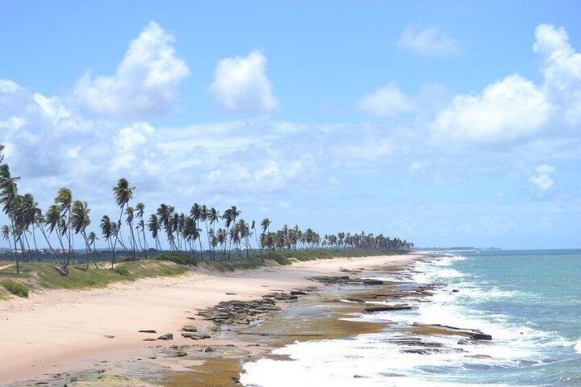 From Salvador to Praia do Forte