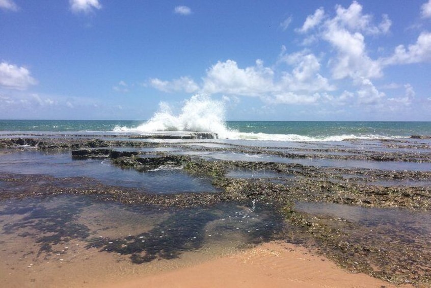 From Salvador to Praia do Forte