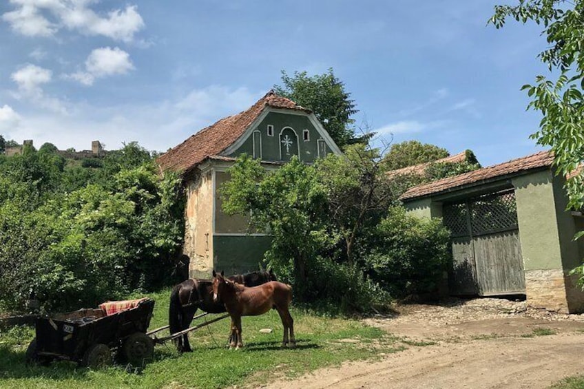 Bran and Rasnov Castles Tour from Brasov