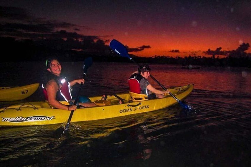 bio bay kayak tour vieques