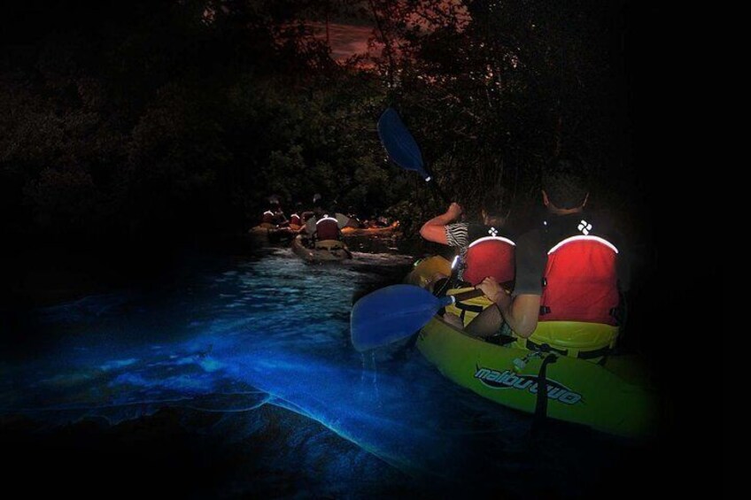 Night BioBay Kayak Tour VIEQUES ISLAND