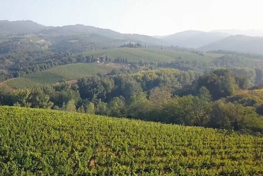 Chianti landscape