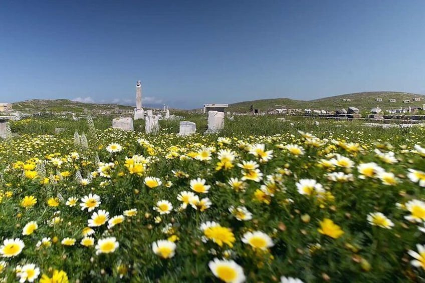 Delos in Spring