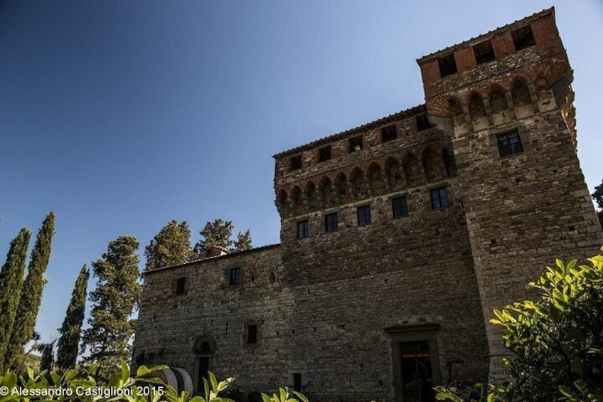 the castle from the garden side