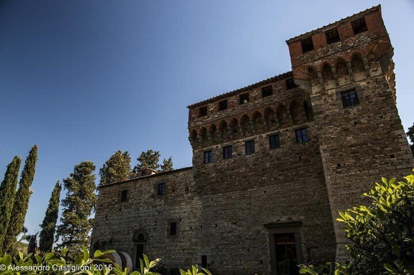 the castle from the garden side