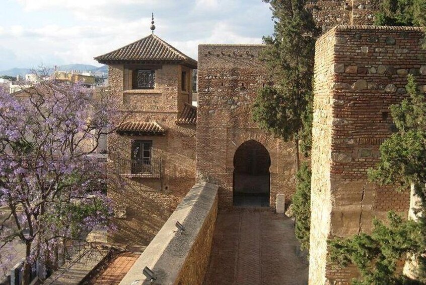 Alcazaba and Nasrid Palace in Malaga Private Walking Tour