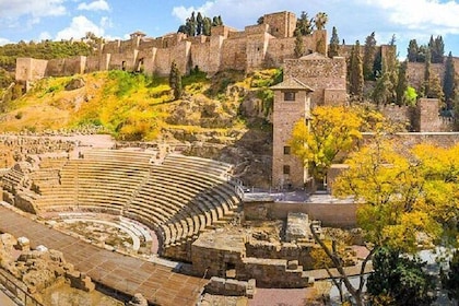 Alcazaba, Cathedral & Picasso's Birthplace Private Tour