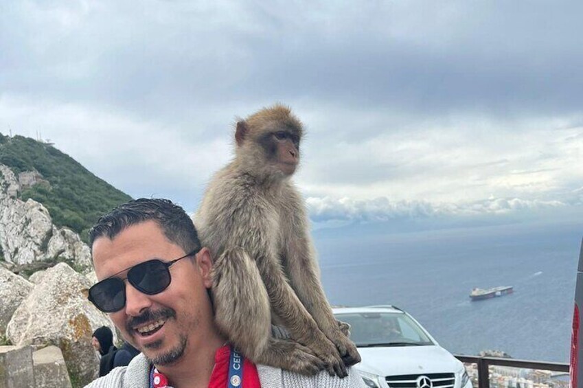 Gibraltar: Official Rock Private Tours From Malaga and Surronding Areas