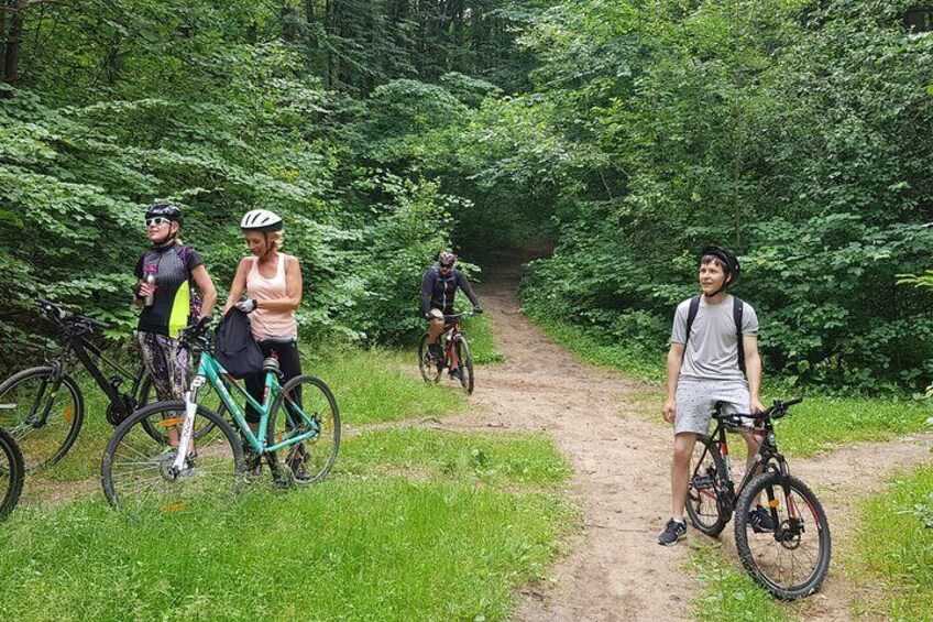 Small-Group Mountain Bike Tour to Pavilniai Regional Park