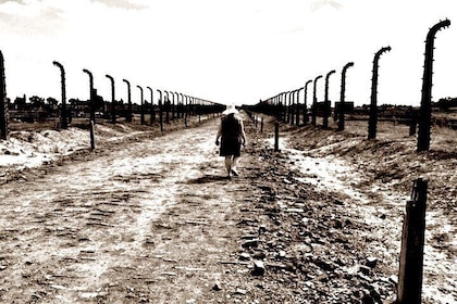 Excursión privada a Auschwitz-Birkenau y Cracovia