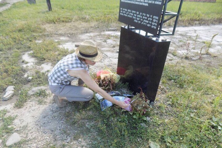 Private Auschwitz-Birkenau and Krakow Tour