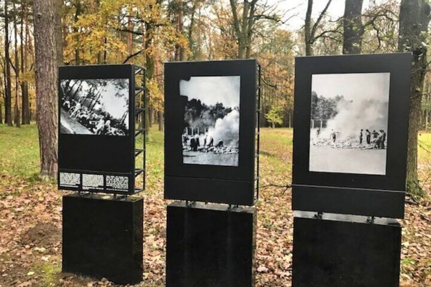 Private Auschwitz-Birkenau and Krakow Tour