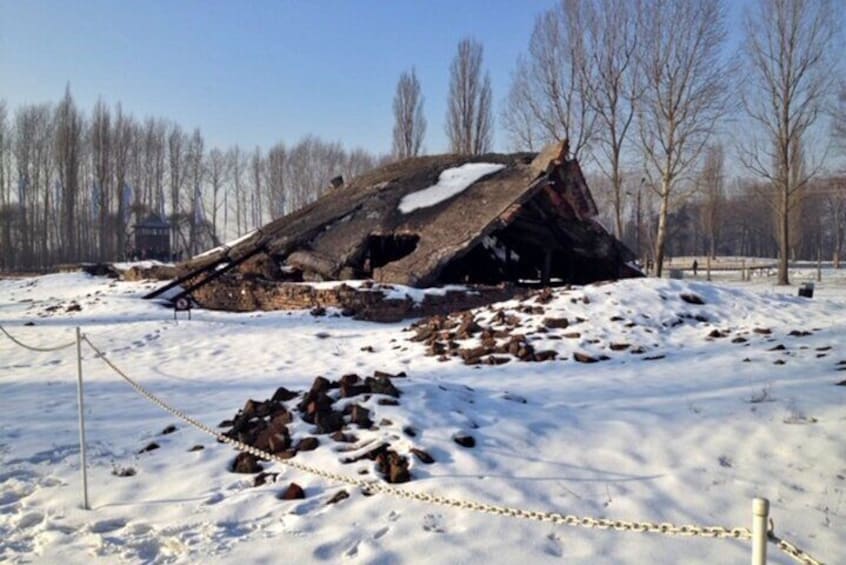 Private Auschwitz-Birkenau and Krakow Tour