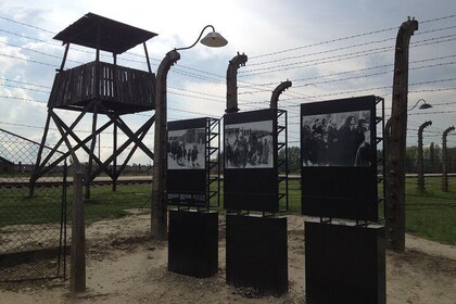 Krakow: Auschwitz-Birkenau & Salt Mine -private/shared transport