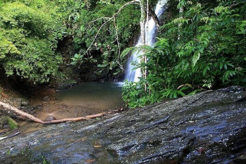 Durian Perangin Waterfall Langkawi