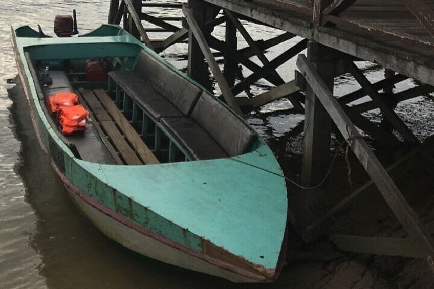 Mangrove Cruise with Fireflies Tour Including Dinner from Sandakan