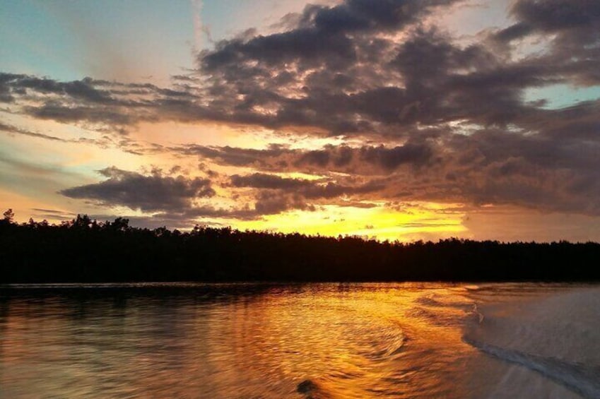 Mangrove Cruise with Fireflies Tour Including Dinner from Sandakan