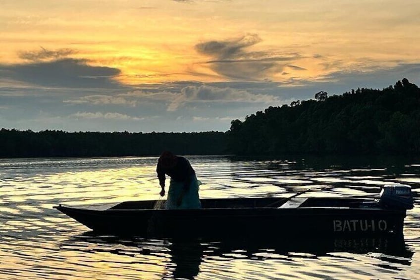 Mangrove Cruise with Fireflies Tour Including Dinner from Sandakan