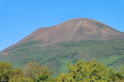 Mt Vesuvius Half-Day Trip from Naples