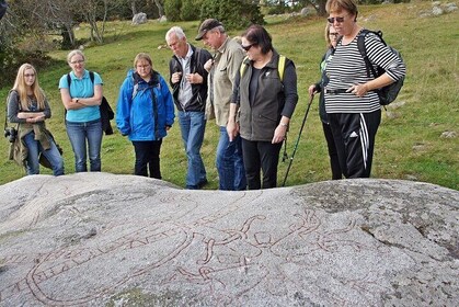 Semi-Private Viking History Tour to Sigtuna and Lake Vallentuna
