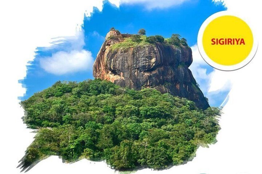 Sigiriya Rock and Dambulla Cave Temple all inclusive Private Day Trip