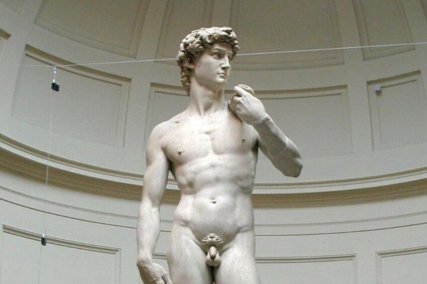 Michelangelo's David