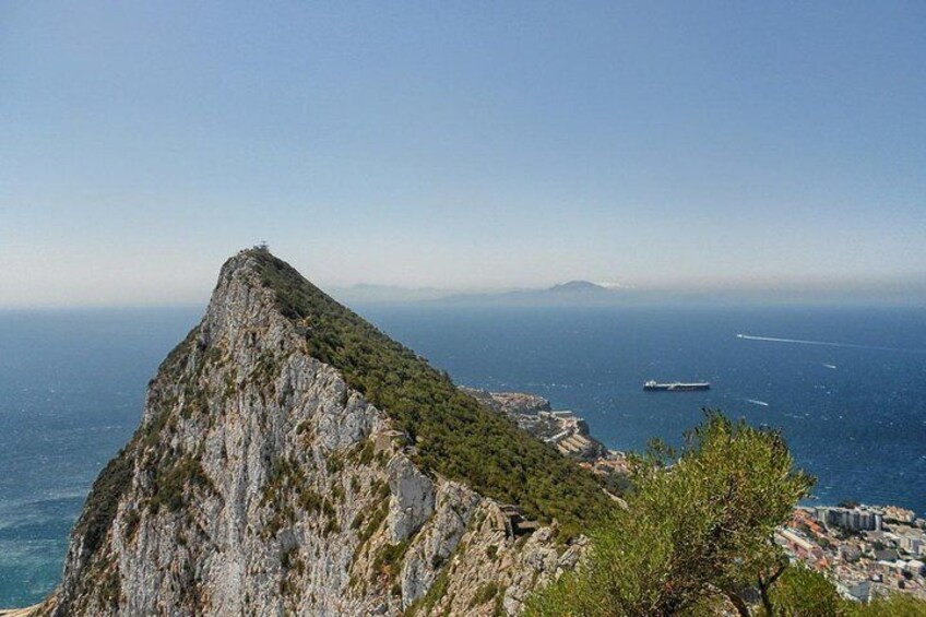 Private Full Day in Gibraltar from Marbella