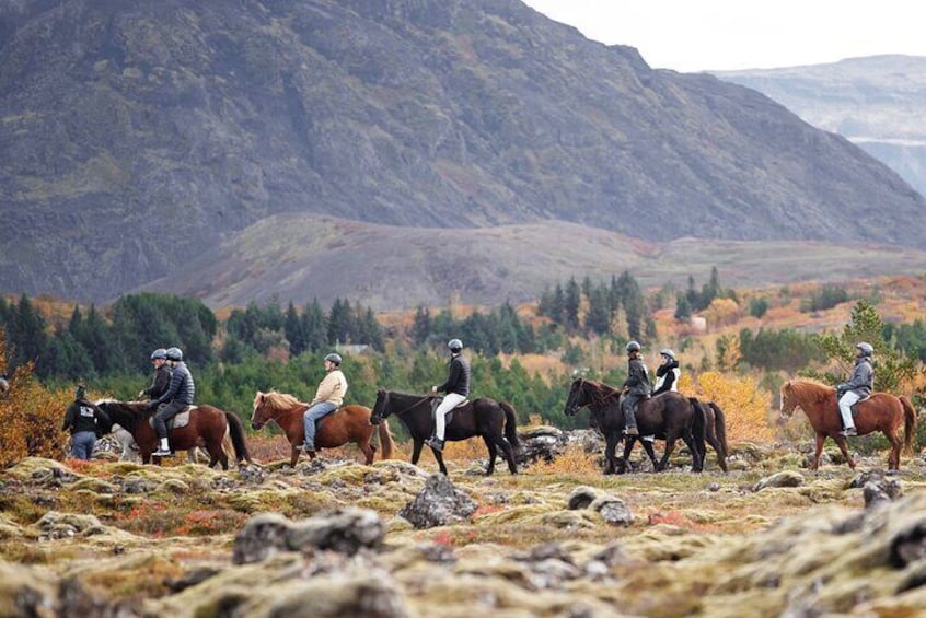 Icelandic Horseback Riding Tour from Reykjavik