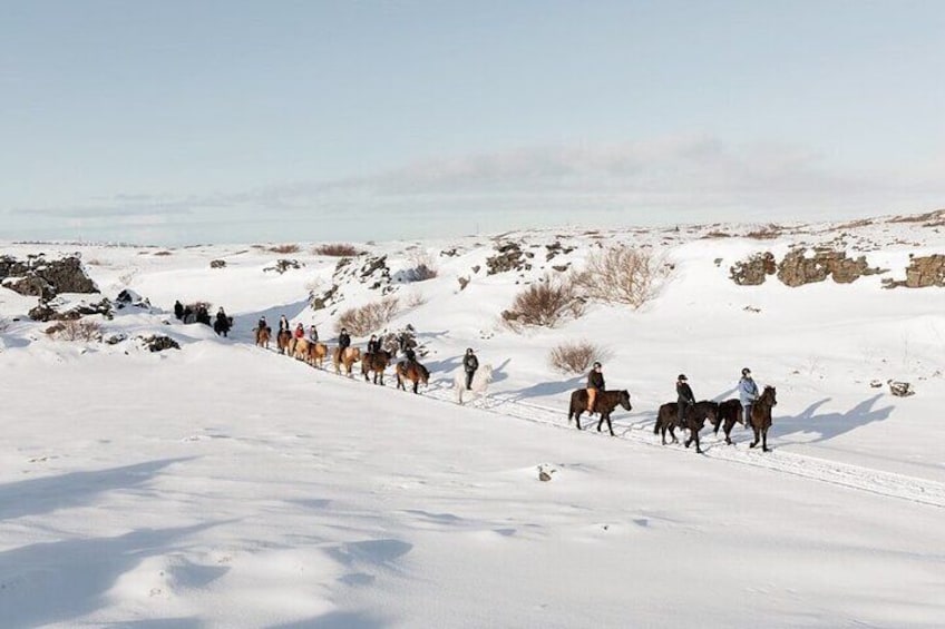 Icelandic Horseback Riding Tour from Reykjavik